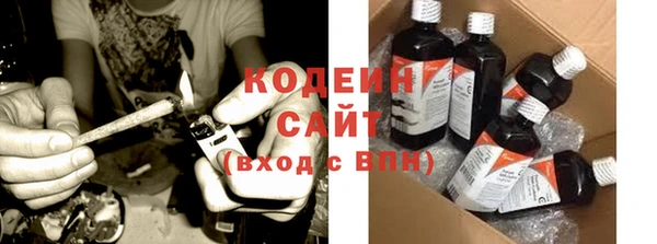 хмурый Рославль