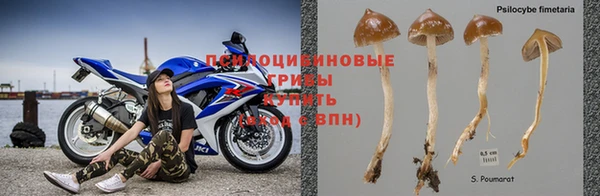 соль ск Нягань