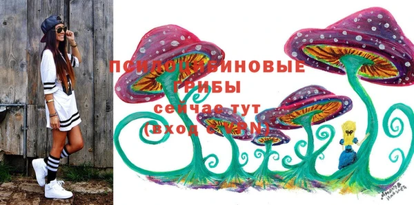 соль ск Нягань