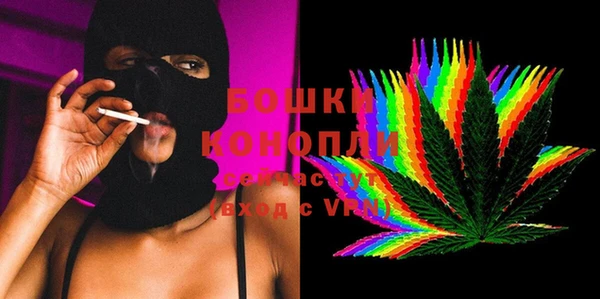 ГАЛЛЮЦИНОГЕННЫЕ ГРИБЫ Няндома