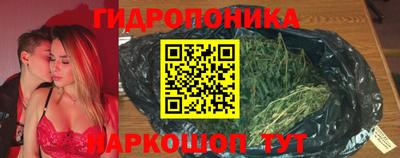 амф Бердск