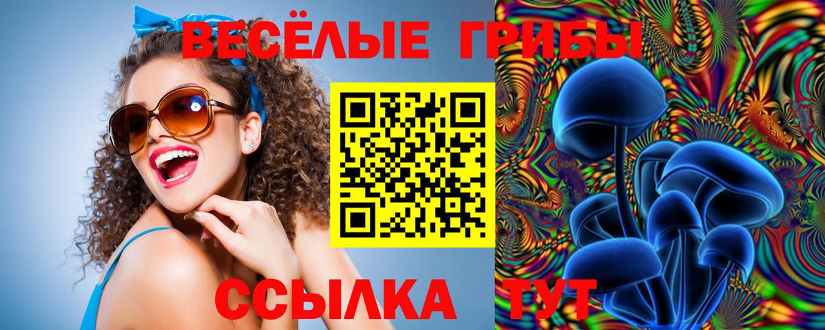 сколько стоит  Вход с VPN  Курганинск  Галлюциногенные грибы мухоморы 