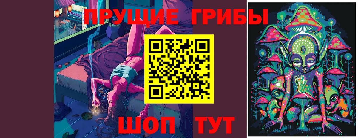 Псилоцибиновые грибы мицелий Курганинск